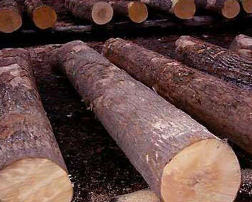 德國橡木原木項目建議書